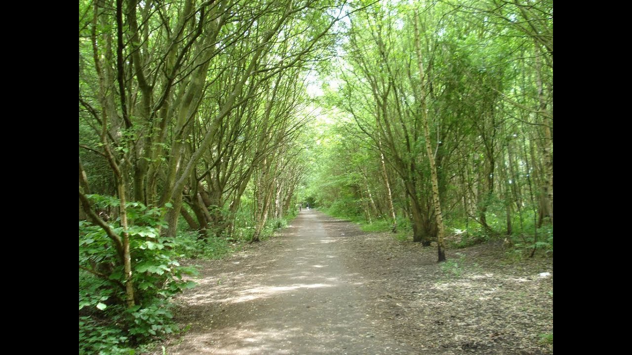 Cycling The Trans Pennine Trail, Dearne Valley RSPB Centre to Penistone Station