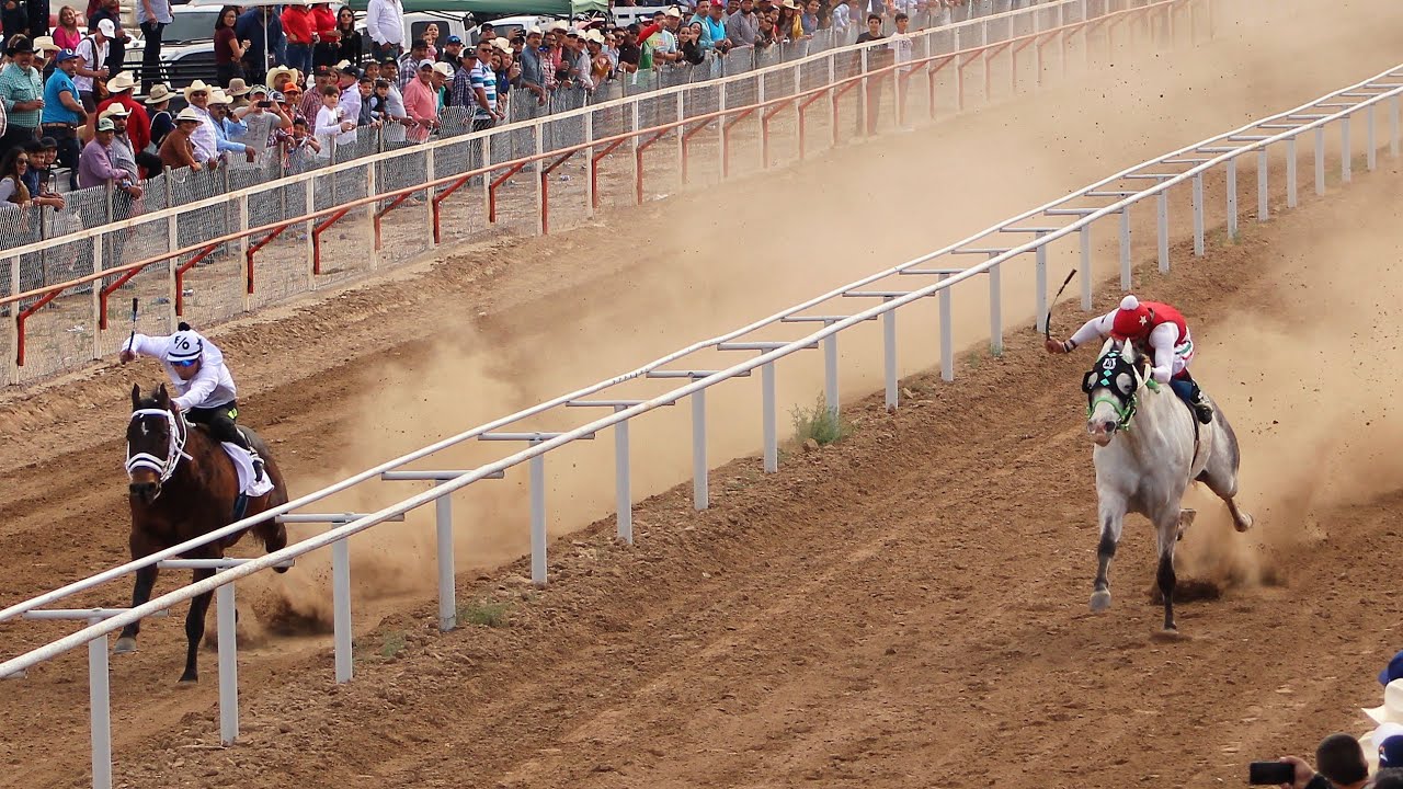 Carreras de Caballos en Empalme Carril El Zancudo 02 Febrero 2020 YouTube Carreras de Caballos en Empalme Carril El Zancudo 02 Febrero 2020 YouTube