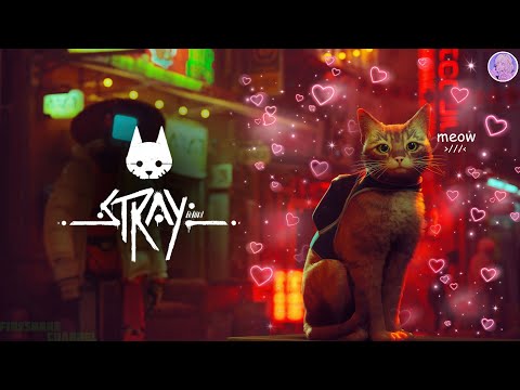 Видео: Общаемся и играем в Stray | СТРИМ