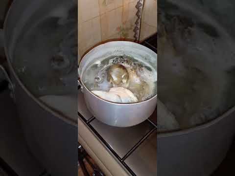 Славная уха из