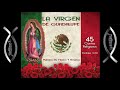 45 Cantos A La Virgen De Guadalupe - Varios Artistas