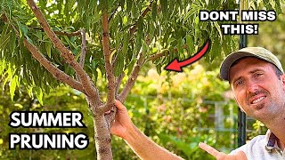 How to Prune Stone Fruit Trees in Summer | Most People Miss This