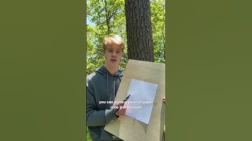 Episode one, we learn sketches and planes