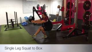 Single Leg Squat to Box