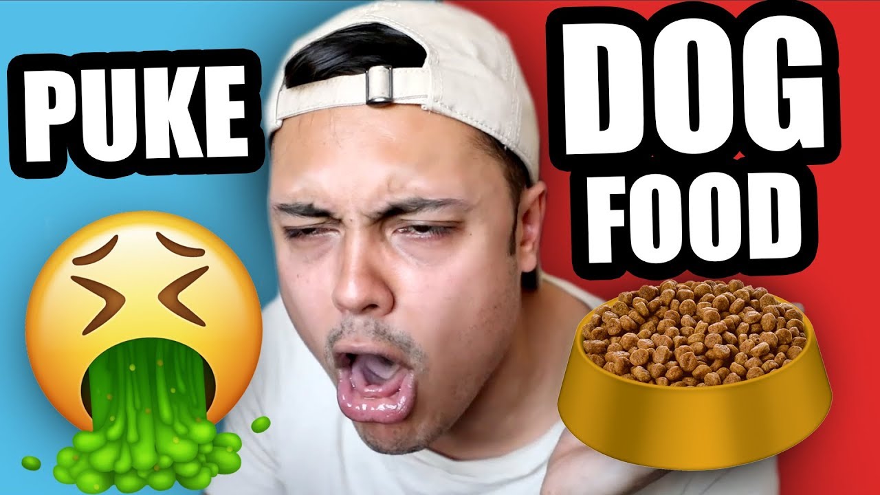 EAT PUKE OR EAT DOG FOOD ?!?! (Would You Rather) - YouTube