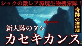 Mhw カセキカンスの入手方法と捕まえ方と出現場所 激レア環境生物トロフィー 生きた化石と遭遇 新大陸のヌシ モンスターハンターワールド シックの激レア環境生物捜索隊 Youtube