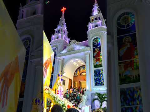 velankanni arockia annai basilica chennai / gnanam nirai kannigai whatsapp status #faith #love