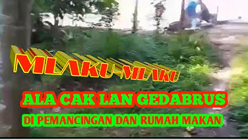 MLAKU - MLAKU ALA CAK LAN GEDABRUS, DI PEMANCINGAN, ORA GUYU GAK WARAS, @DND CREATIVE CHANNEL