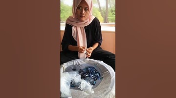Inside a Thai Betta Fish Farm Packing Process Revealed!💥