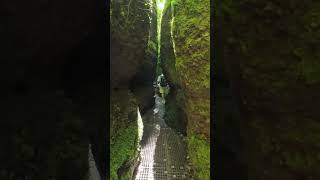 #germany #travel #vlog #like #live