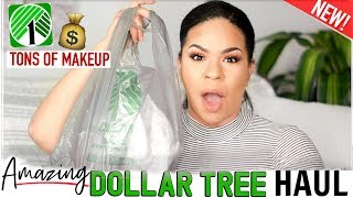 ️New Dollar Tree Haul! New Dollar Store makeup and so much more! Wh...