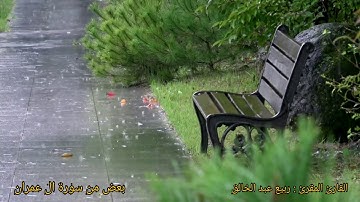 القارئ المُقرئ : ربيع عبد الخالق ماتيسر من سورة آل عمران من الآية 176 الى 188