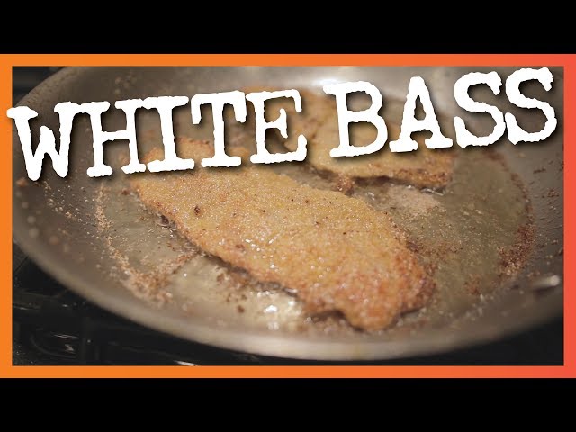 Watch Cooking White Bass (Sand Bass) Fillets — Yum! on YouTube.