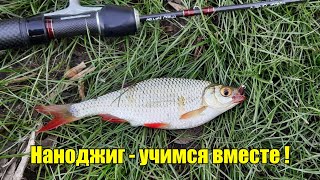 Наноджиг - учимся вместе! Рыбалка в Калининграде.