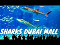 Sharks Dubai Aquarium Underwater Zoo Dubai Mall *HD*