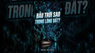 Chuyện lạ! Bầu Trời Sao Đang Sống Trong Hang? #youtubeshorts #khampha #chuyenla #bian