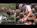 The Story of Sustainable Love    История устойчивой любви