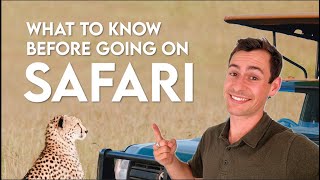 Before Going on Safari: 10 Important Things to Know (Tips from a Safari Advisor)