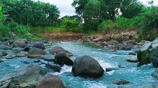 Let Go of Anxiety Tonight with River Sounds and Gentle Birds