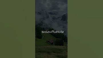 تلاوه خاشعه بصوت الشيخ سعود شريم