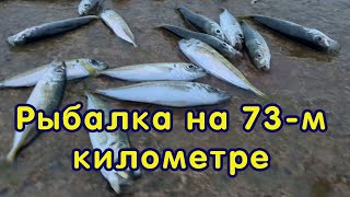 Рыбалка на 73-м километре. Рыбачим на ставку, моя сегодня не сработала. #ставрида #мамайка #рыбалка