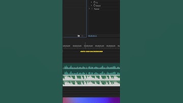 MUSIC vs. DIALOGUE: Perfect Levels in PREMIERE PRO!!