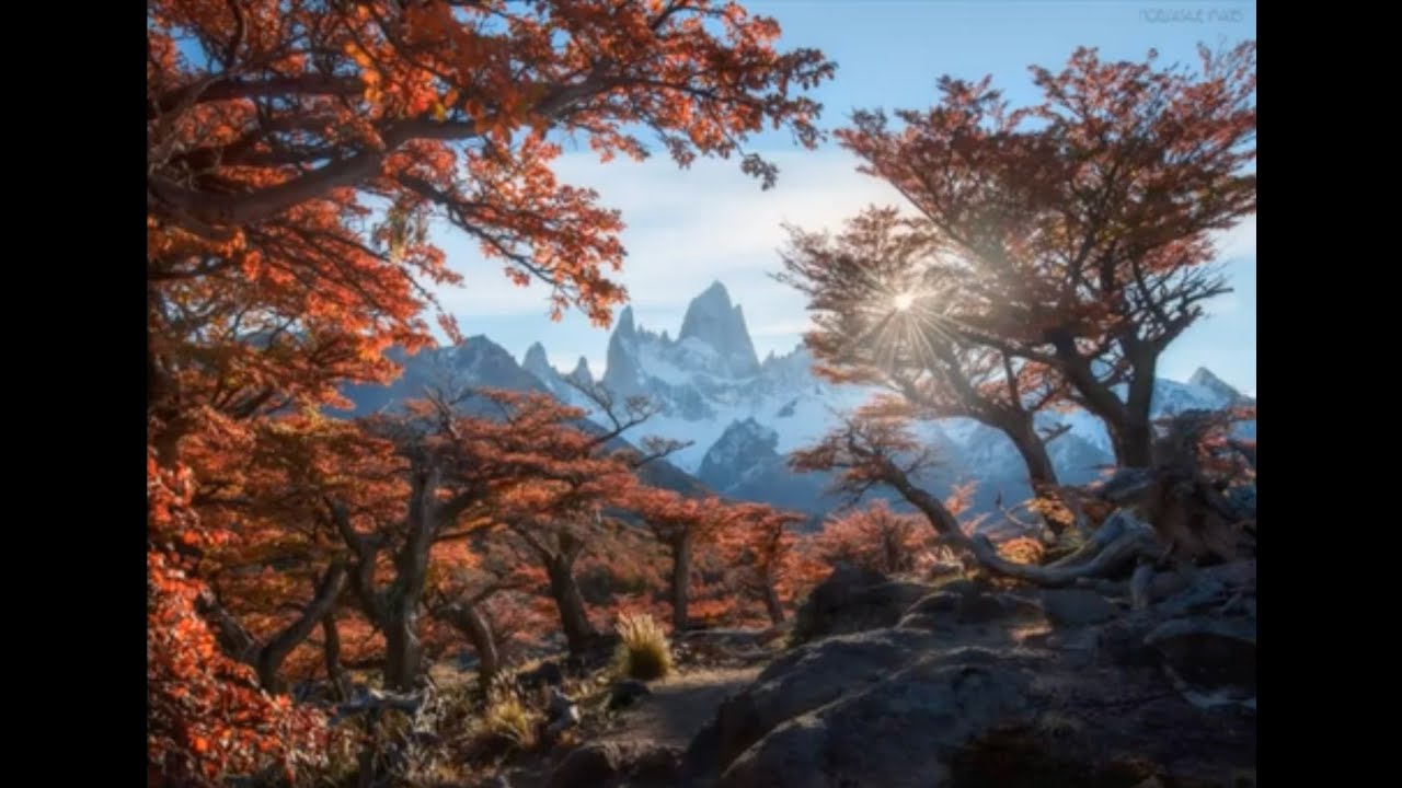 What Makes An Image Compelling?