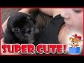 DID WE GET ANOTHER PUPPY? | We Are The Davises