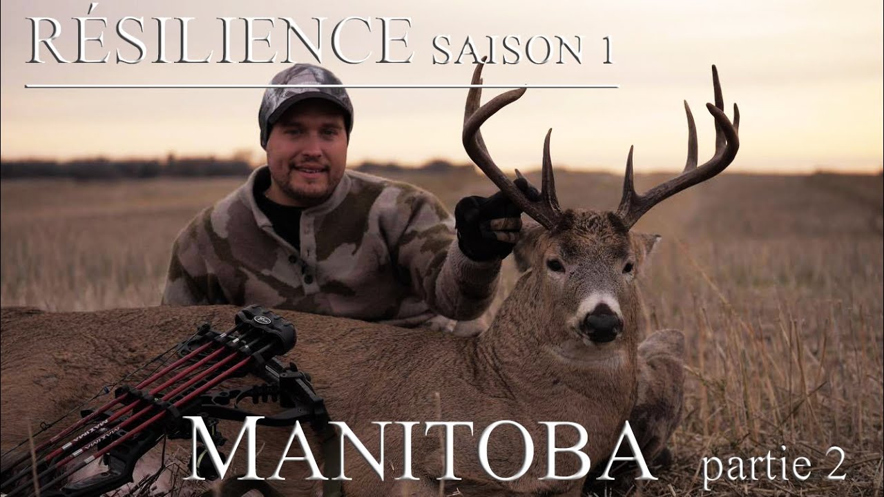 Chasse aux chevreuils à l'arc RÉSILIENCE