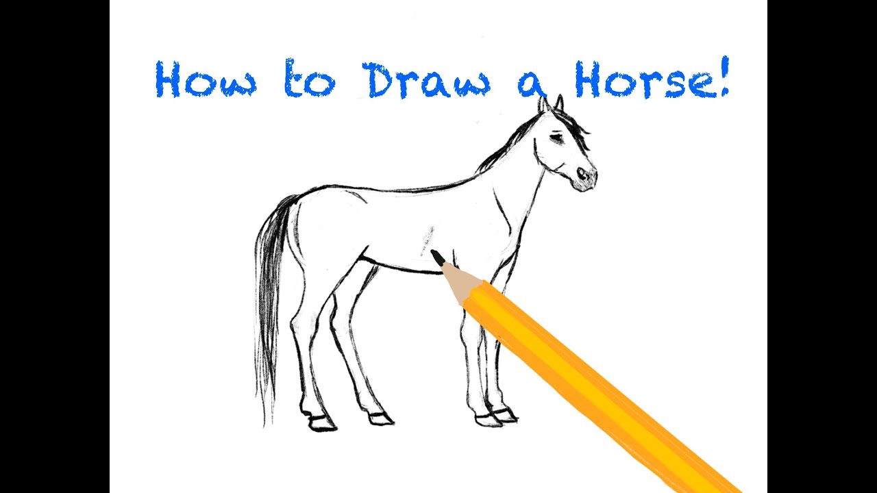 How to draw a horse (Easy) - YouTube