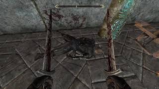 Skywind Weapon Durability Test