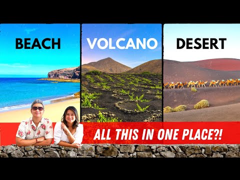 Video: Kamelridning i Los Cabos med Cabo Adventures