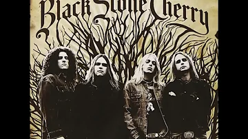 Black Stone Cherry - Lonely Train HD