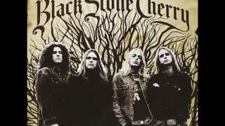 Black Stone Cherry - Lonely Train HD