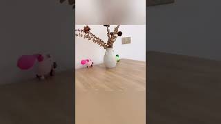 Power Balloon Car Launch Tower Toys  #shorts