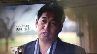 引退されてもかっこいい西崎投手 西崎あや 検索動画21 引退されてもかっこいい西崎投手 西崎あや 検索動画 21