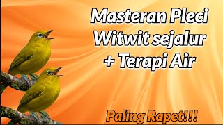 MASTERAN PLECI: Witwit Sejalur   Terapi Air