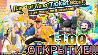 видео: 🎉Выбил 2 эксов! — самая удачная витрина 🔥 | One piece bounty rush / OPBR картинка: 🎉Выбил 2 эксов! — самая удачная витрина 🔥 | One piece bounty rush / OPBR