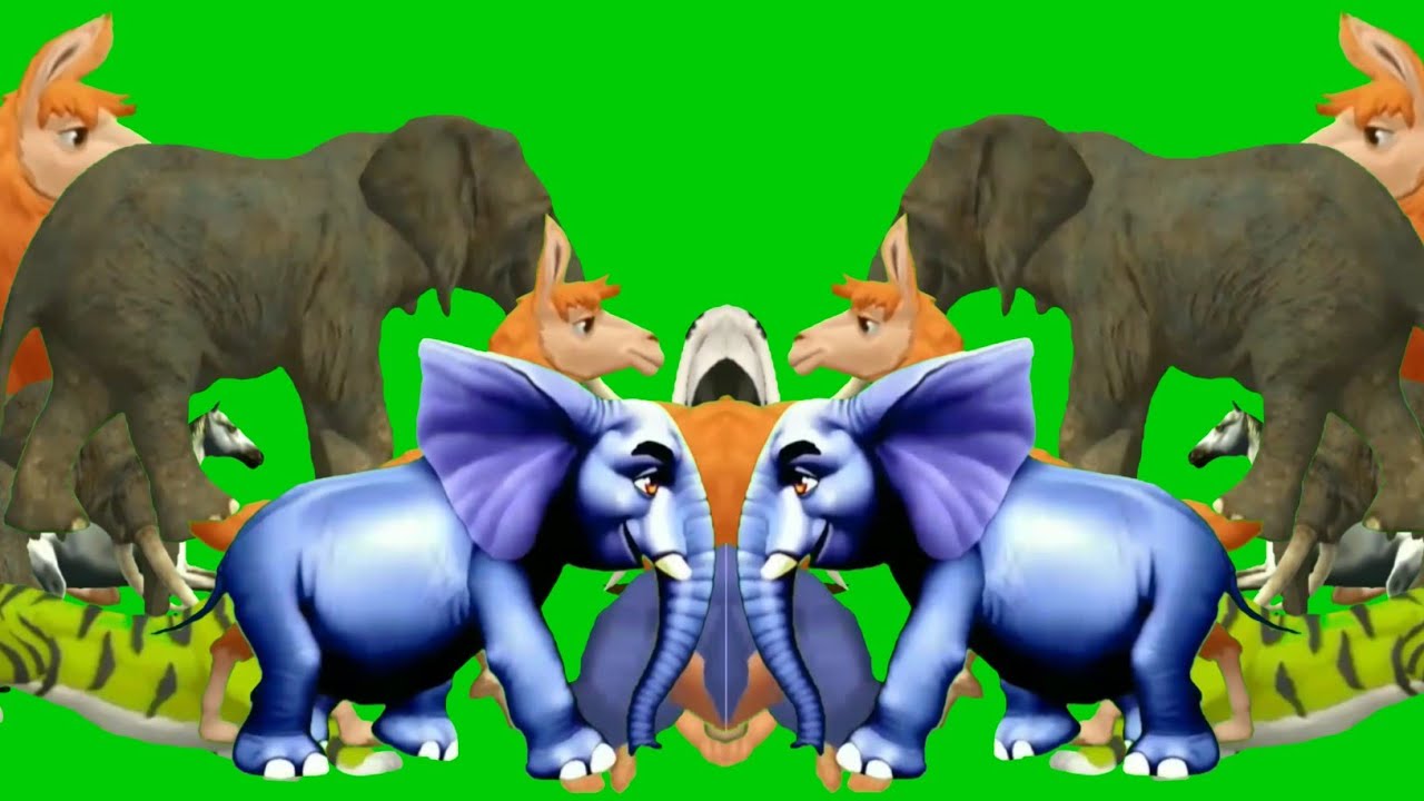 Animals Stampede Video Stampede Green Screen Zoo Animals Stampede animals-stampede-video-stampede-green-screen-zoo-animals-stampede