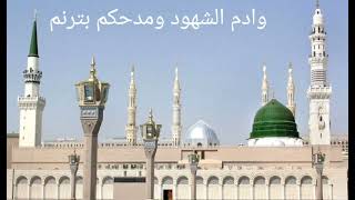 أرح الفؤاد برؤيتك يا زمزم  ﷺ سمعها