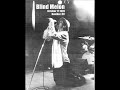 Blind Melon - October 17 1995 Boulder, CO (audio)