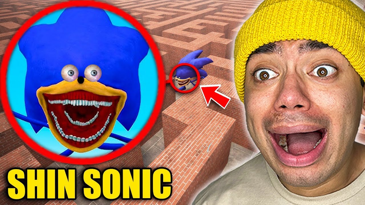 Если вы видите Шин Соника в лабиринте, БЕГИТЕ БЫСТРЕЕ.. (*Страшно*)