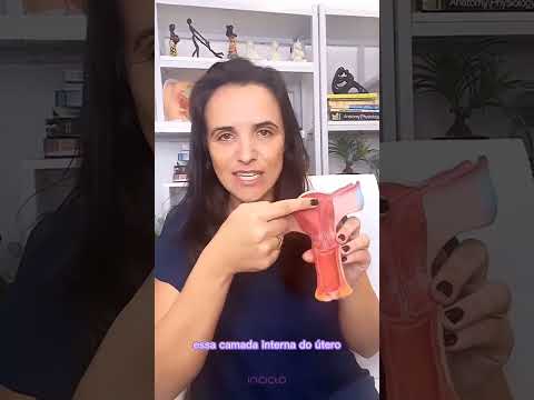 Qual o Tamanho do Útero no Período Menstrual?