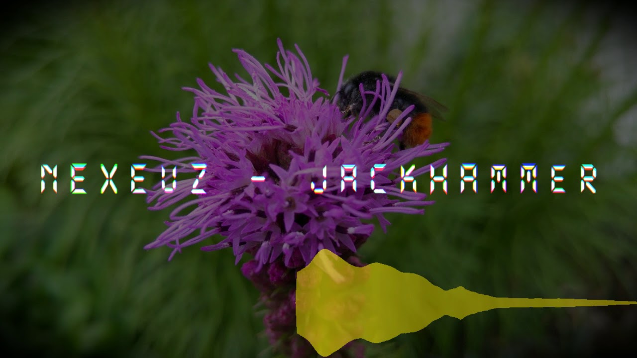 Ley o'Lantern - Jackhammer (Nexeuz Remix)