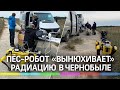 Пёс-робот прибыл в Чернобыль вынюхивать радиацию