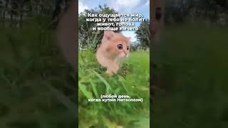 Он реально ощущается так🥰 #медицина #здоровье #медицинскиефакты #образование #медицинскийканал