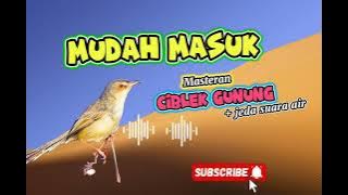 Masteran Ciblek Gunung, Masteran Ciblek Gunung Jeda