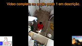 Pedro Videos