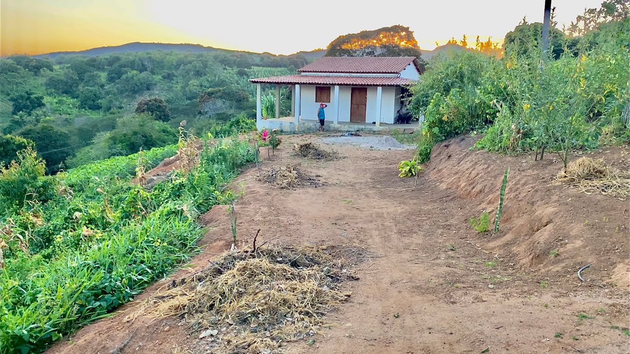 ELE ME CHAMOU PARA COMPRA SUA CRIAÇÃO DE GALINHAS!!’