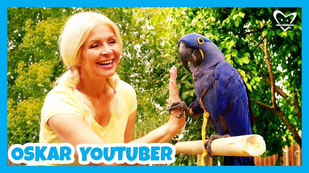 Míša Růžičková - Oskar YouTuber - Písničky pro děti 